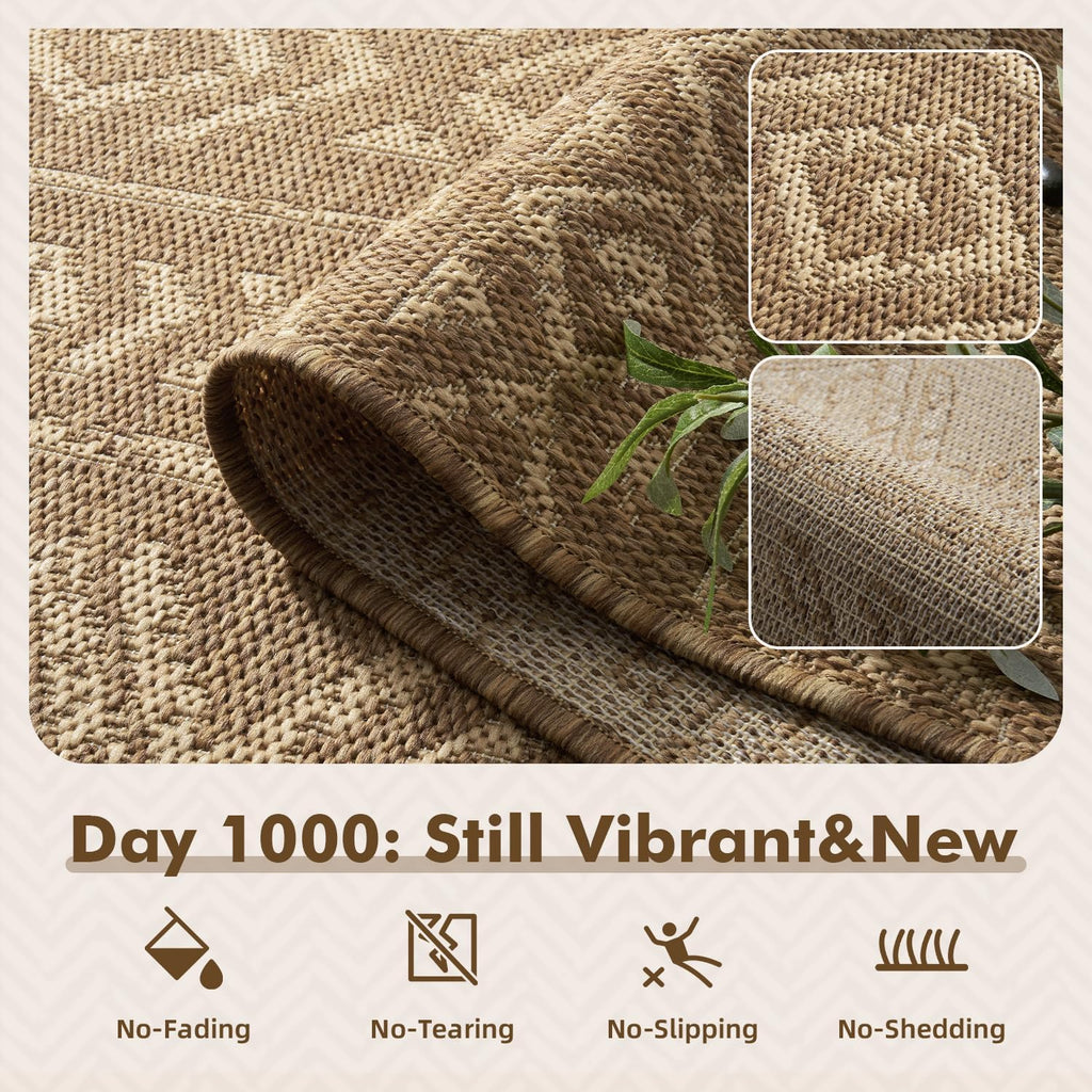 Brown Boho Farmhouse Patio Rug
