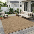 Brown Boho Farmhouse Patio Rug