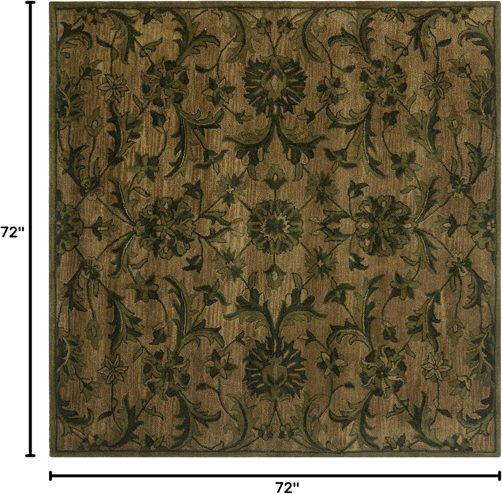 Olive Green Traditional Oriental Wool Square Rug